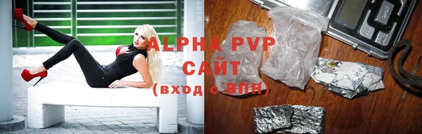 стафф Дмитриев