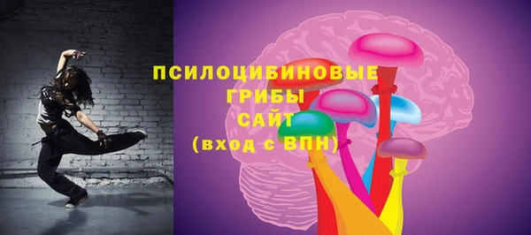 ешки Дмитровск
