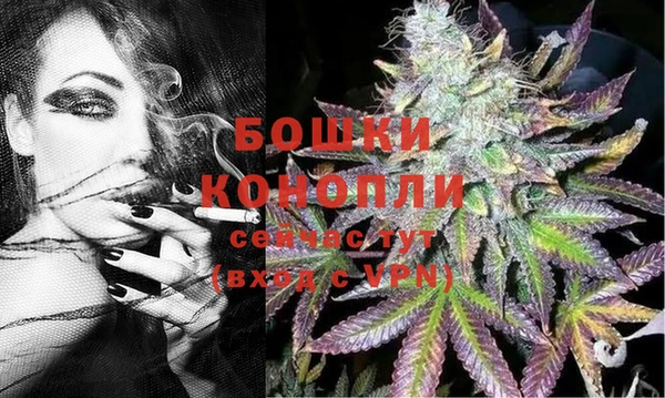 спиды Дмитров