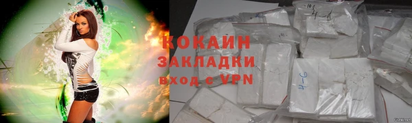 стафф Дмитриев