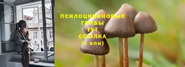 стафф Дмитриев