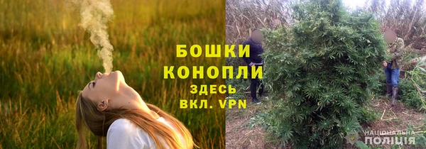 ешки Дмитровск