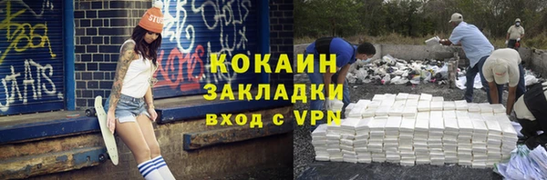 стафф Дмитриев