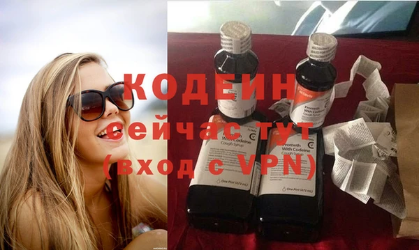 стафф Дмитриев