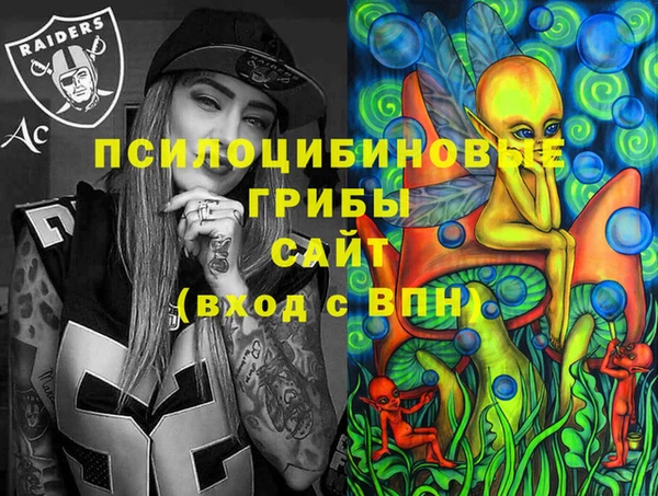 ешки Дмитровск