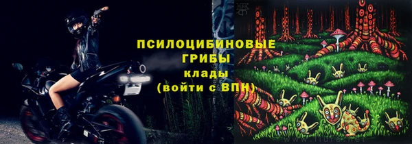 спиды Дмитров