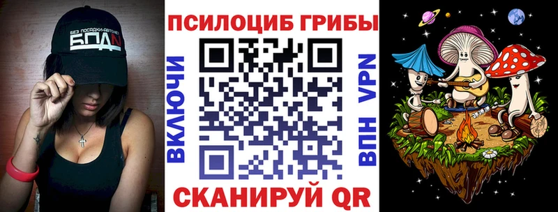 Галлюциногенные грибы Psilocybe  блэк спрут онион  Пятигорск  darknet Telegram  купить закладку 