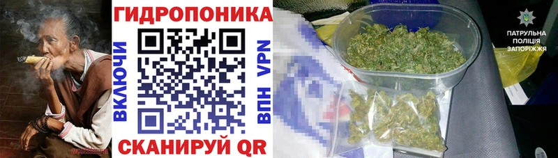 Каннабис Ganja  Пятигорск 